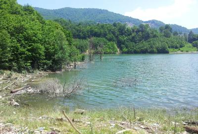 Spațiu comercial, în Gura Siriului - 2