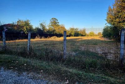 Teren de 4400 mp, în Ceaușești - 3