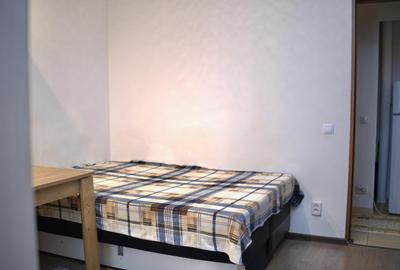 Apartament cu 2 camere decomandat, mobilat în Podu Roș - 3
