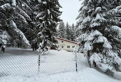 Casă cu Teren 2000 Mp în Dealu Negru - 10