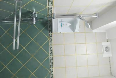 Apartament Garsoniera Chirie Timisoara Iulius Mall - 3