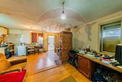 Casă cu 2 camere cu Teren 4500 Mp în Cărand - 6