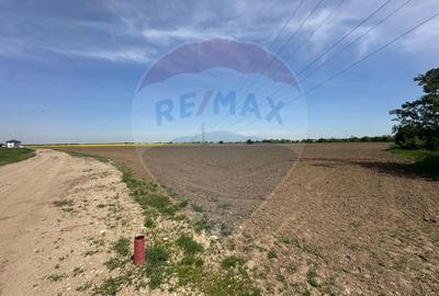 Teren Construcții intravilan de 545000 mp, în Dragomirești-Vale - 7