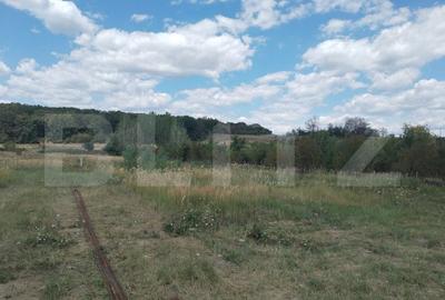 Vila individuala pe parter Priseaca - 9