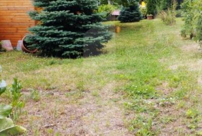 Casă cu 5 camere cu Teren 1200 Mp în Gruia - 8