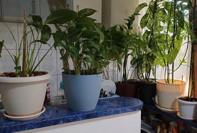 De vanzare apartament 3 camere - 2