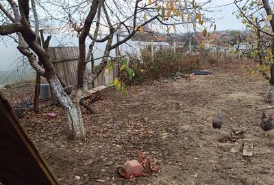 RECO Casa Rosiori - 4