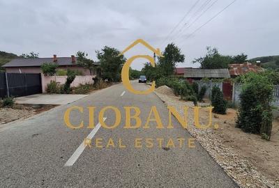 Teren Intravilan/Extravilan de vanzare in Bradestii Batrani - 2