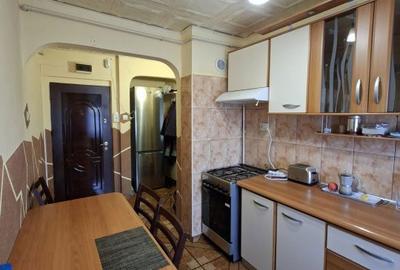 Apartament cu 2 camere semidecomandat în Săsar - 10