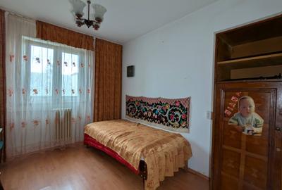 Camera de camin sau doua Gemenii Florilor - 1