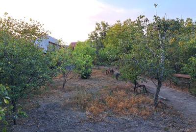 Oportunitate dezvoltare/constructie  2 proprietati Casa+teren 2200 m2,zona buna, - 7