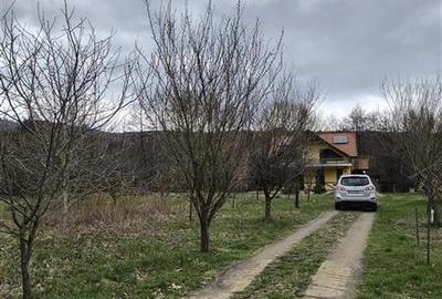 Oportunitate! Casa deosebita cu 2980 mp teren in Vulcan, Brasov - 3