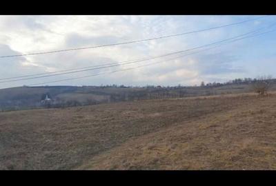 Spațiu comercial, în Călățea - 4