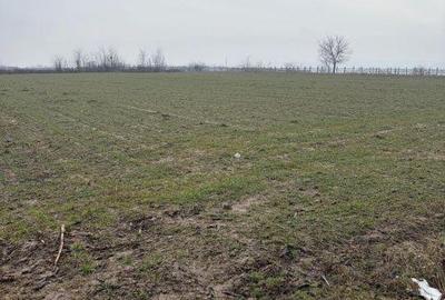 Spațiu comercial, în Central