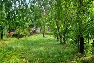 Casă cu 4 camere cu Teren 3200 Mp în Mănăstioara - 4