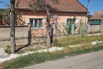 Casa la tara 40 km de Oradea - 7