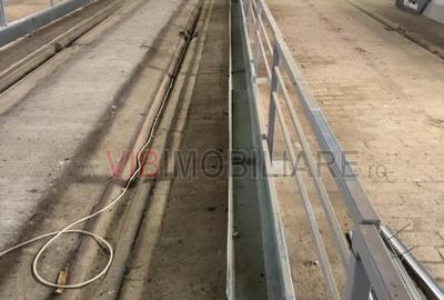 Ferma complet utilată – 30 ha teren comasat cu 11.500mp grajduri renovate Tim - 12