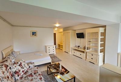 Garsoniera zona Otopeni (Aeroport) bloc NOU, Mobilata-Utilata MODERN - 11