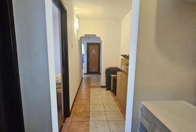 APARTAMENT DE INCHIRIAT STR PODGORIILOR - 10