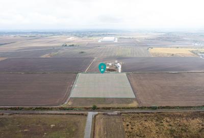 Teren Construcții intravilan de 19325 mp, în Șagului - 2