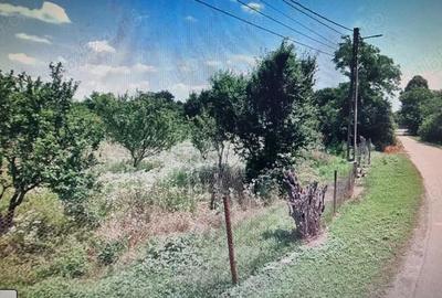 Teren de 4000 mp, în Crângurile - 8