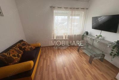 Sanandrei - Apartament 3 camere - Parter - Mobilat si utilat - 9
