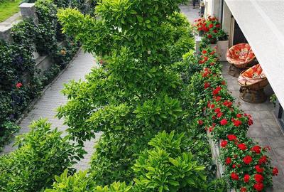 Casă cu 8 camere cu Canalizare în Central