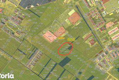 Teren de 5000 mp, în Sud