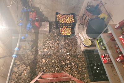 Casa parter 145 mp + teren 1.749 mp, strada Mircea Voda - 5