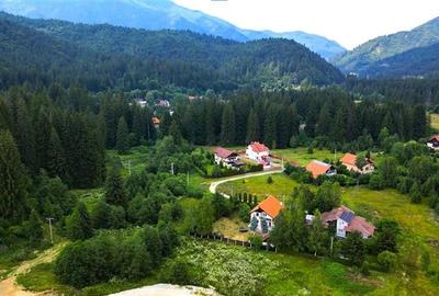 FILM!Refugiu elegant,cadru natural rar, vecinatati discrete,1.700 mp domeniu ver - 12