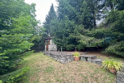 Azuga - Strada Garbovei - 5