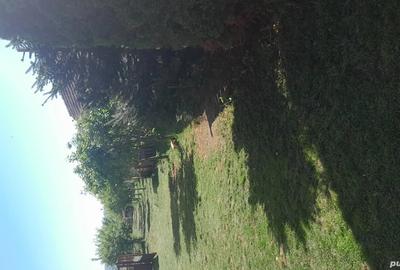 Vand casa Vand casa - 1