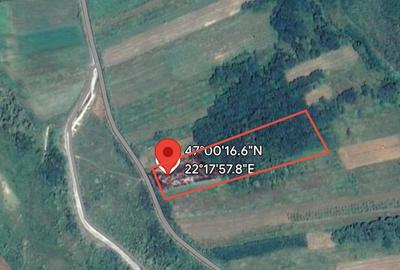 Teren de vânzare | 2,2 ha pădure și fâneață/arabil | zona Hotar, Bihor