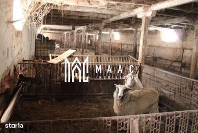 Teren de 10065 mp, în Ucea - 3