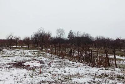 Casa de vanzare in comuna Barsa, judetul Arad - 10