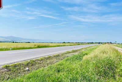 Teren agricol extravilan de 74615 mp, în Reci - 1