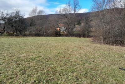 Teren Intravilan Ideal Pt Casa de Vacanta ,Valea Dobarlaului - 5