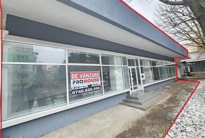 Spatiu Comercial, 250mp, Narcisa-ONIX - 3