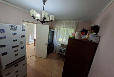 Apartament cu 2 camere semidecomandat în Tineretului - 2