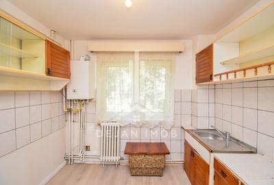 Apartament cu 2 camere semidecomandat în Simeria - 4