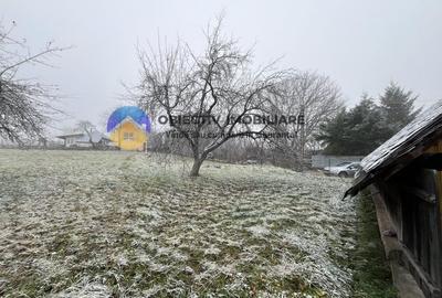 Casa si teren 3054 mp - Negresti - 14