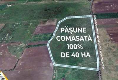 Teren PASUNE de 40ha, Comasat 100% cu FS de 961 ml la Drumul European - 2