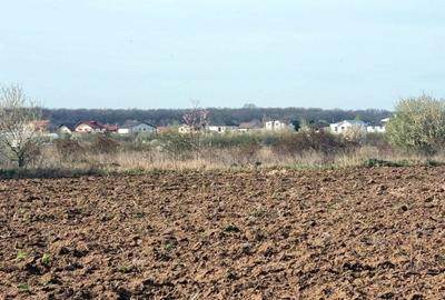 „Corbeanca – aer curat, potențial mare, preț competitiv. 3 loturi cu viitor.” - 5