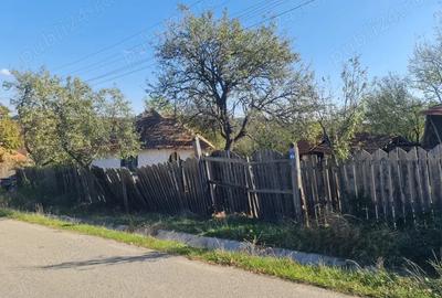 Casa si pamant agricol de vanzare - 10