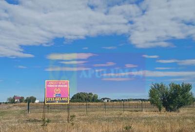 Gulia, teren reziden?ial 1500 mp, cu utilita?i - 3