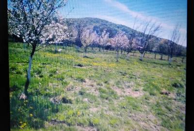 Teren de 2750 mp, în Aninoasa - 8
