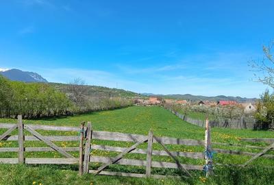Teren Construcții intravilan de 4200 mp, în Tohanu Nou - 2