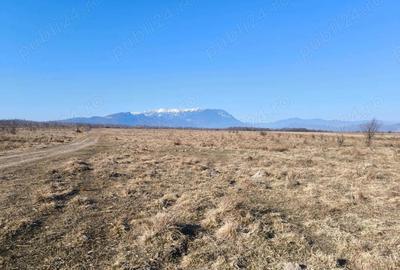 Teren de 6100 mp, în Glăjărie - 5