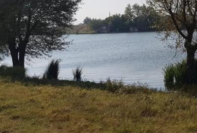Teren în Vidra - 4