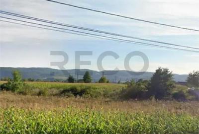 Teren de 7560 mp, în Topa de Criș - 1